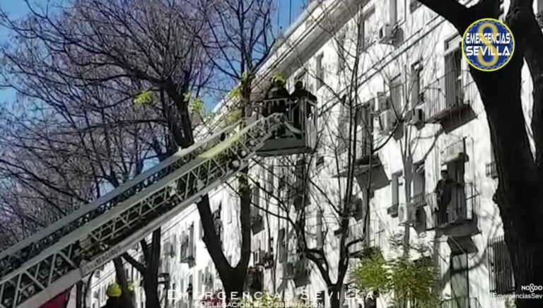 El rescate de un loro en Sevilla genera polémica