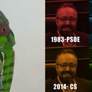Las redes celebran el último giro de Girauta: "ya ha completado el póker de la política"
