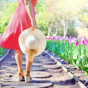 Consejos para renovar tu jardín