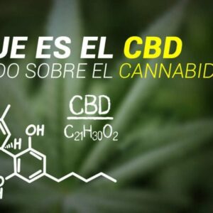 ¿Qué es el CBD y para qué sirve?
