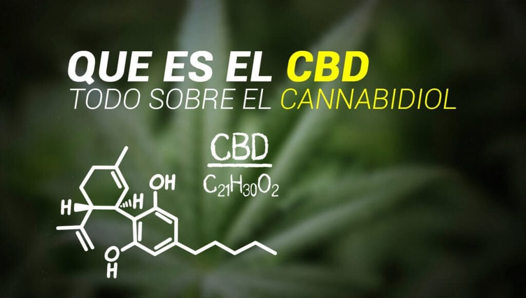 ¿Qué es el CBD y para qué sirve?