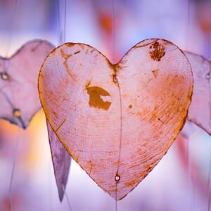 Amor: exprésalo, vívelo, celébralo y supéralo si termina