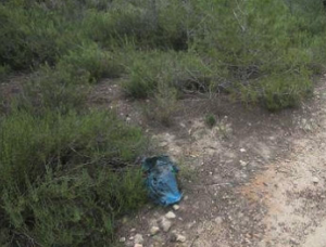 Encuentran los huesos de al menos tres personas junto a un sendero en Picassent (Valencia)