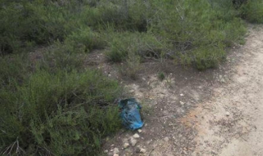 Encuentran los huesos de al menos tres personas junto a un sendero en Picassent (Valencia)