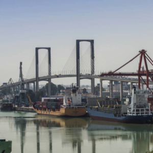 Retiran 1.600 kilos de camalote del Guadalquivir a su paso por Sevilla
