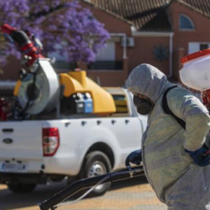 Coria del Río teme que se vuelva a producir un nuevo brote de Virus del Nilo