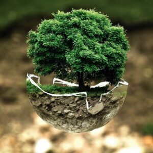 Disfrutar y cuidar del medio ambiente: cómo garantizar este derecho y obligación