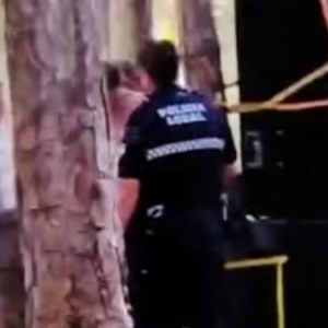 Disuelta una fiesta 'rave' en un paraje de Aznalcóllar