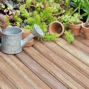 ¿Cómo cuidar de las plantas con poco espacio?