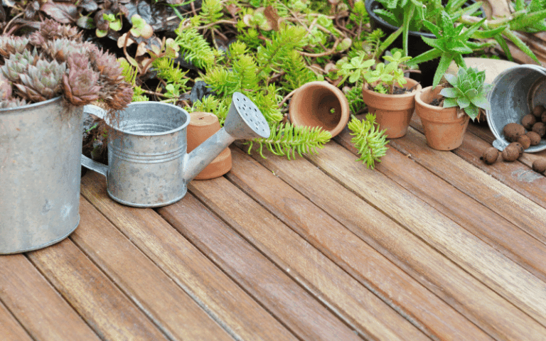 ¿Cómo cuidar de las plantas con poco espacio?