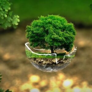 Jardinería, ingeniería y artesanía: recursos que prueban el potencial de la sociedad actual