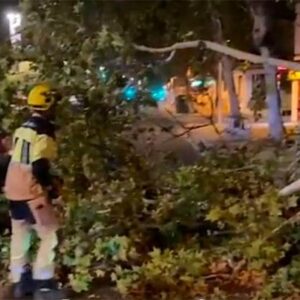 Más de 50 incidencias por fuerte viento en la provincia