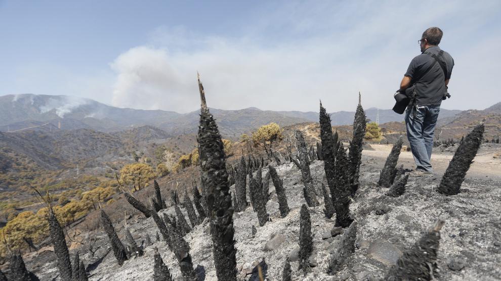 El Infoca da por controlado el incendio de Sierra Bermeja