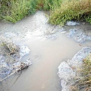 Vertido de aguas fecales en el Paraje Natural Marismas de Isla Cristina y Ayamonte