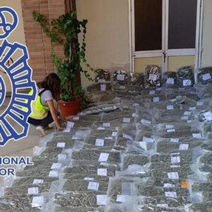 Tres detenidos por transportar 170 kilos de marihuana en camiones frigoríficos al extranjero