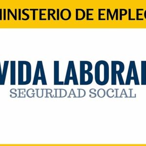 Cómo Descargar la Vida Laboral usando un SMS del móvil