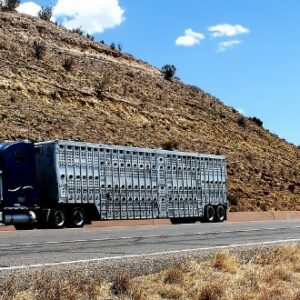 Transporte de motos y coches: ¿Qué tener en cuenta para contratar el servicio?