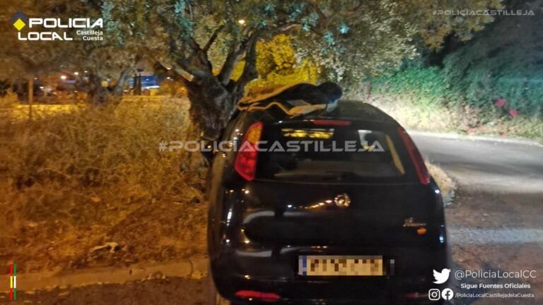 "Aparca" en una glorieta de Camas llevándose un árbol por delante