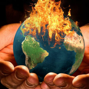 Todo sobre el cambio climático y las especies del desierto