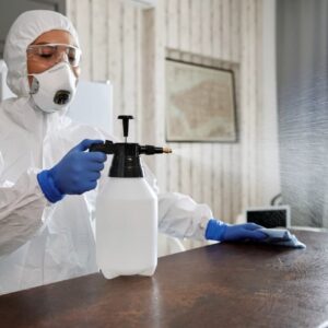 Fumigación de plagas en Huesca: Infórmate