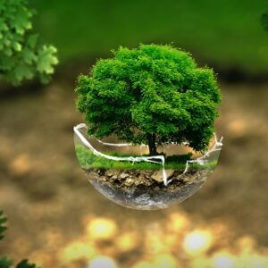 Vive la naturaleza en primera persona y protege el medio ambiente