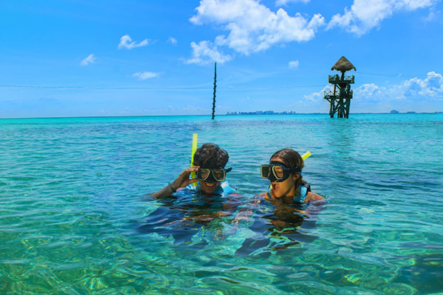 Snorkel En Cancún Isla Mujeres Parque Natural Garrafón 