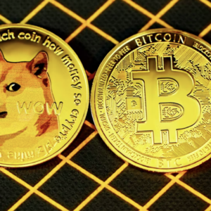 Dogecoin Vs. Shiba Inu: qué son y por qué deberías invertir en una