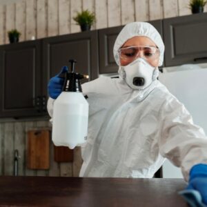 Importancia del control de plagas para la sociedad