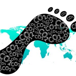 ¿Qué es la huella de carbono y por qué es importante calcularla?