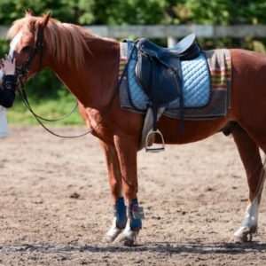Contar con equipamiento de calidad es clave para desarrollar cualquier actividad deportiva