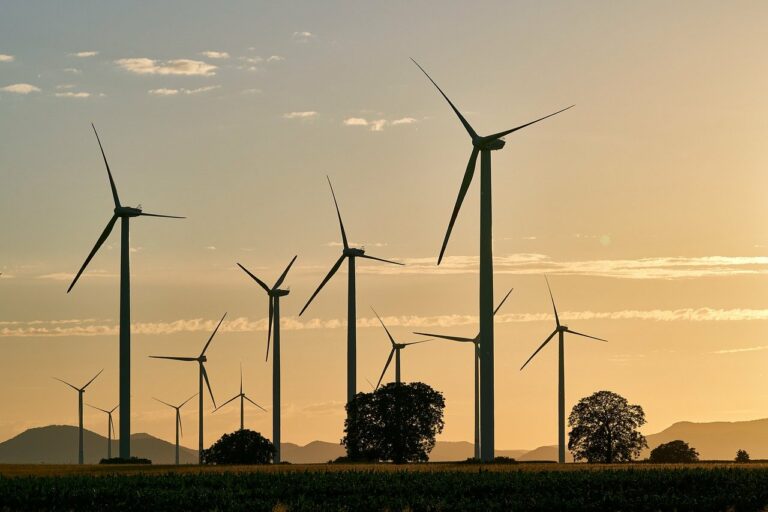 ¿Cómo elegir un generador eléctrico?