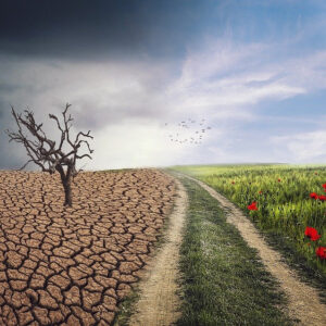 ¿Por qué es importante combatir el cambio climático?