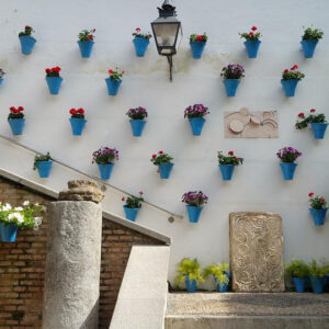 Fiesta de los Patios de Córdoba