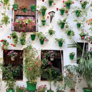 Andalucía: sinónimo de excelencia en todos los sectores