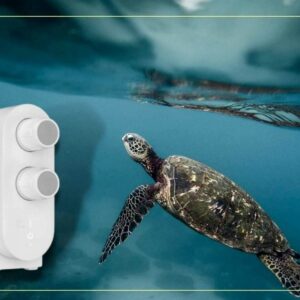 Una de las principales medidas para contribuir a la preservación de los océanos es el consumo de agua del grifo con filtros