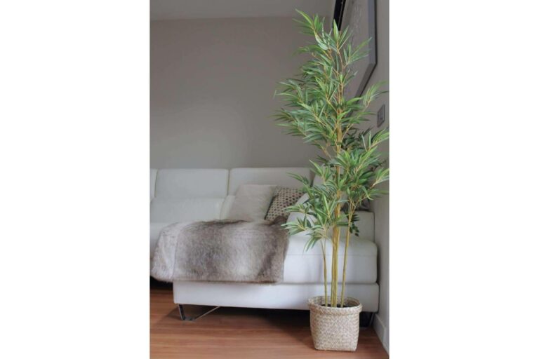 La innovación en la decoración y las plantas decorativas artificiales, por Zamyo