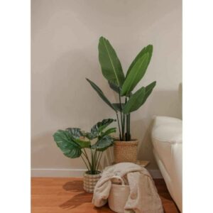 ¿Cuáles son los beneficios de optar por plantas artificiales?, de la mano de Zamyo