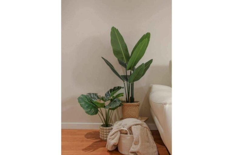 ¿Cuáles son los beneficios de optar por plantas artificiales?, de la mano de Zamyo