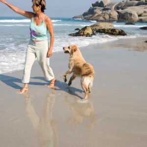 Adoptar perros en verano, una forma para evitar que las protectoras colapsen