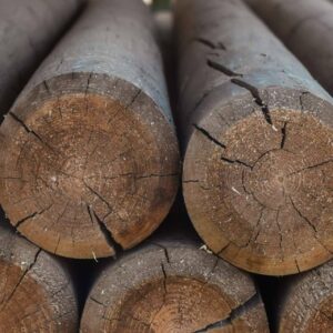 La mejor madera para los muebles, según Maderas Gámez