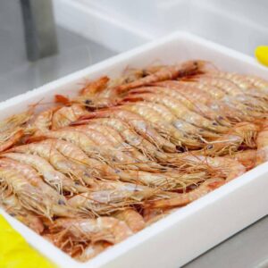 Comprar marisco congelado y de buena calidad a través de Mariscos Apolo