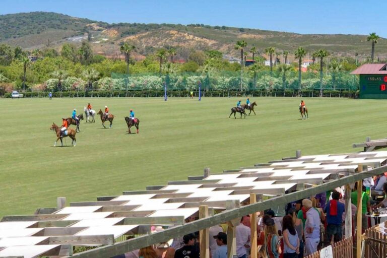 Tener una casa en Sotogrande y disfrutar de una vida exclusiva en la Costa del Sol es una realidad gracias a Noll Sotogrande