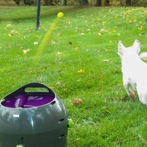Lucas & Lola ofrece juguetes para perros
