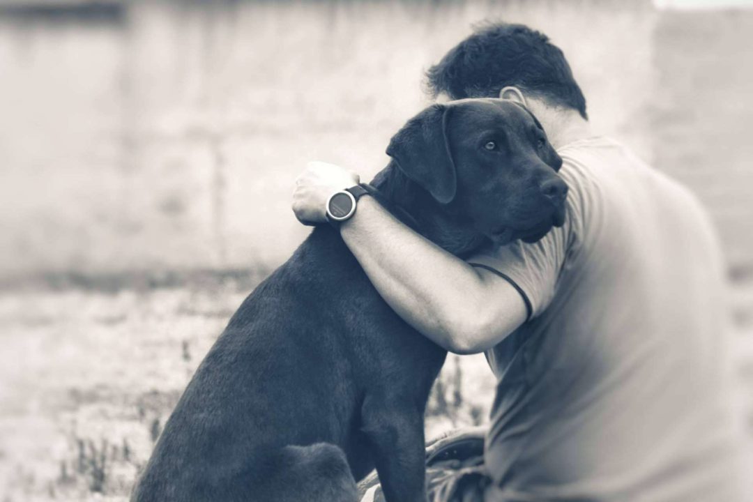 Perros de apoyo emocional para la prevención del suicidio