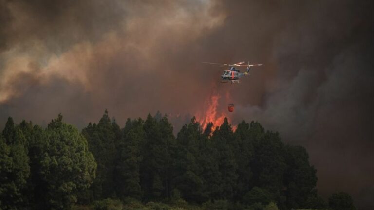 El incendio de Tenerife sigue activo y ya ha afectado a más de 2.700 hectáreas