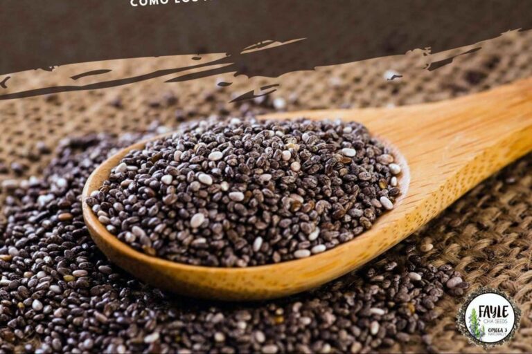 Fayle Seeds dispone de chía de calidad en su página web