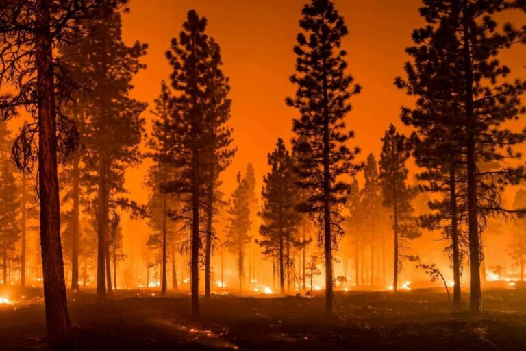 Apagar fuegos más rápido, de forma ecológica y sostenible con el extintor líquido orgánico AYDOAGUA
