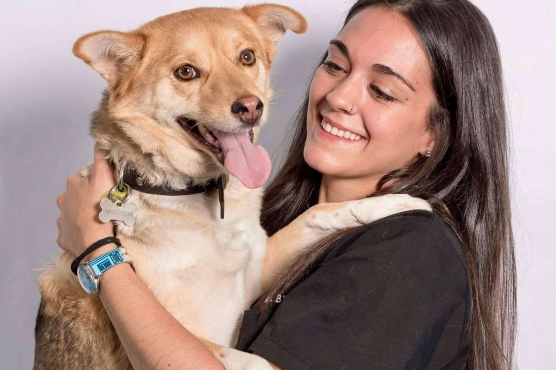 El Hospital Veterinario El Bosque explica qué hacer cuando un animal tiene un golpe de calor