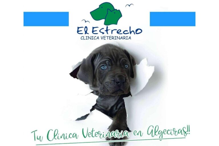 El centro veterinario El Estrecho usa tratamientos de ozono