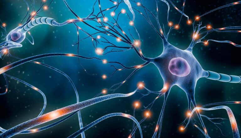 Las técnicas de Neurociencia aplicadas al aprendizaje de ILVEM